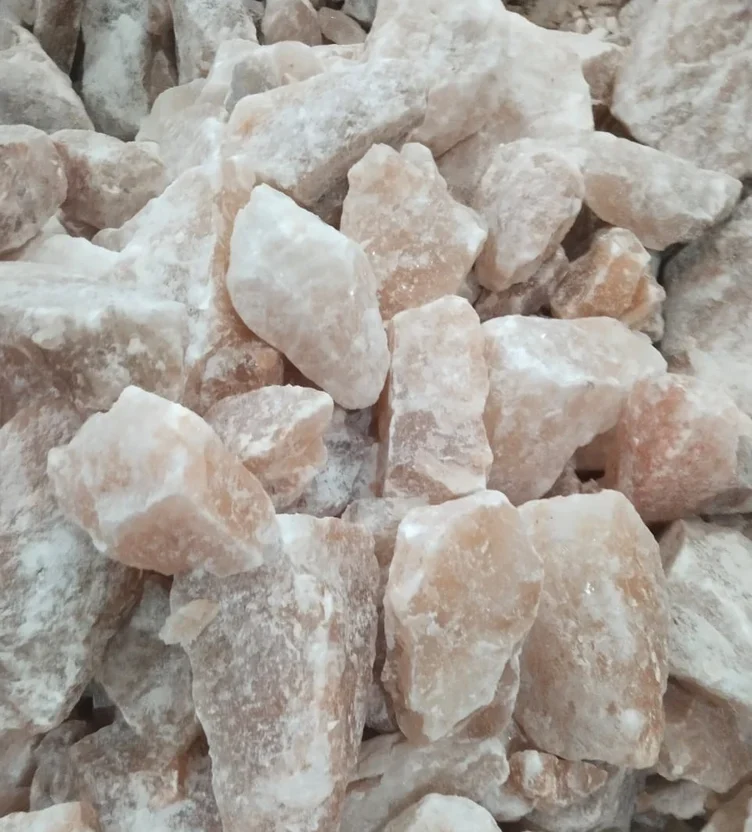 product jpeg 1000x1000