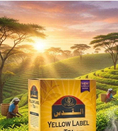 whatsapp image 2026 01 15 at 11.23.11 am