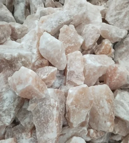 product jpeg 1000x1000